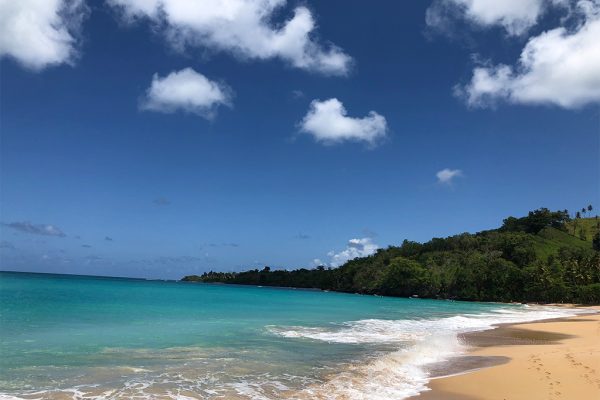 Spend a day in the versatile coastal town of Las Terrenas